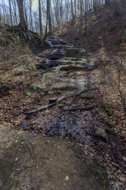 Macaristan 'ın Mecsek dağlarındaki Melegmanyi Vadisi' nin şelalesi.
