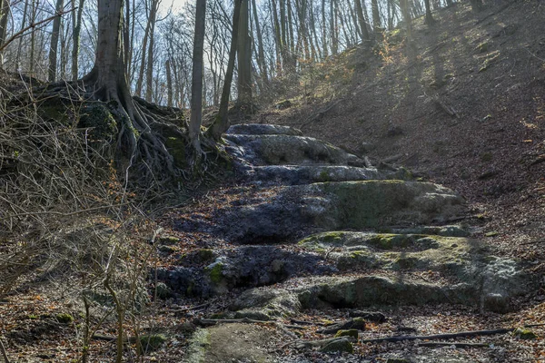 Vattenfall Melegmanyi Dalen Mecsek Bergen Ungern — Stockfoto