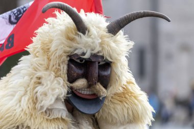 Busojaras (Buso-walking) 'da giyinmiş bir adam, Macaristan' ın Mohacs kentinde yaşayan Sokci etnik grubunun yıllık maskeli balosu..