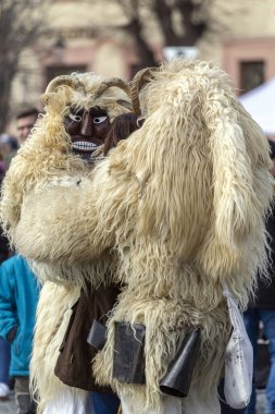 Busojaras (Buso-walking), Macaristan 'ın Mohacs kentinde yaşayan Sokci etnik grubunun yıllık maskeli balosu..