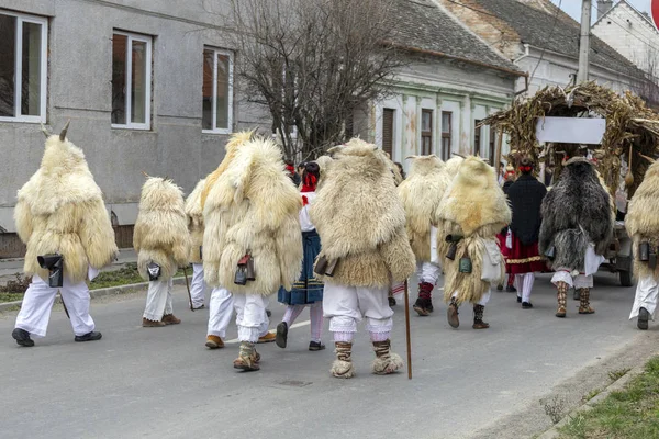 Busojaras Buso Walking 匈牙利Mohacs镇Sokci族居民的年度化装舞会 — 图库照片