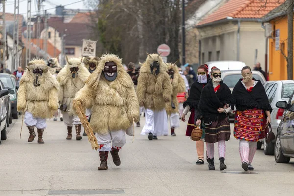 Busojaras Buso Walking Mohács Városában Élő Sokci Etnikai Csoport Éves — Stock Fotó