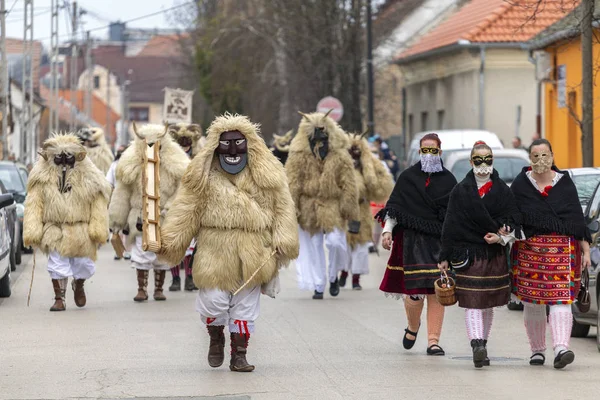 Busojaras Buso Walking Mohács Városában Élő Sokci Etnikai Csoport Éves — Stock Fotó