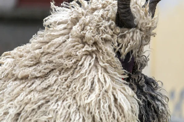 Busojaras Buso Walking Een Jaarlijkse Gemaskerde Viering Van Sokci Etnische — Stockfoto