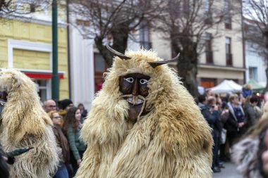 Mohacs, Macaristan - 02 23 2020: Busojaras (Buso-walking) Macaristan 'ın Mohacs kentinde yaşayan Sokci etnik grubunun yıllık maskeli balosu.