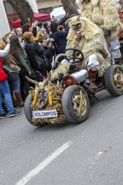 Mohács Magyarország 2020 Busojaras Buso Walking Egy Éves Álarcosbál Mohács — Stock Fotó