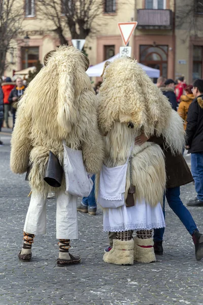 Mohács Magyarország 2020 Busojaras Buso Walking Egy Éves Álarcosbál Mohács — Stock Fotó