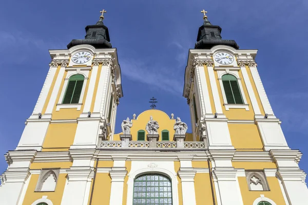 Kathedraal Basiliek Van Szekesfehervar Kathedraal Basiliek Van Stephen Koning — Stockfoto