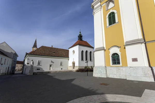 Cattedrale Basilica Szekesfehervar Cattedrale Basilica Santo Stefano — Foto Stock