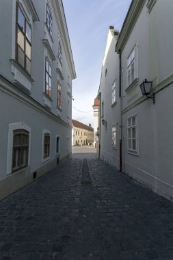 Bir kış günü Szekesfehervar 'da Cobblestone Caddesi.