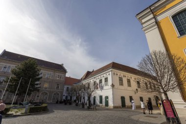 Szekesfehervar, Macaristan - 02 29 2020: Szekesfehervar 'da bir kış günü kaldırım taşı caddesi.