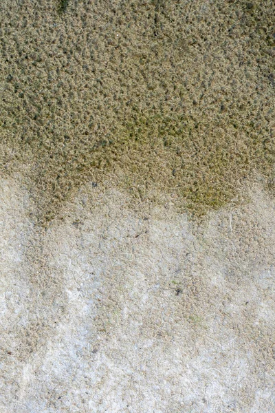 Textura Areia Depois Uma Chuva Verão — Fotografia de Stock