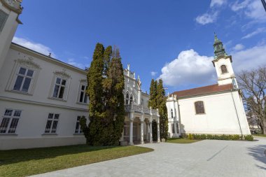 Macaristan 'ın Martonvasar kentindeki ünlü Brunszvik Sarayı güneşli bir bahar gününde.