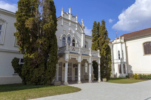 Famoso Palazzo Brunszvik Martonvasar Ungheria Una Soleggiata Giornata Primaverile — Foto Stock