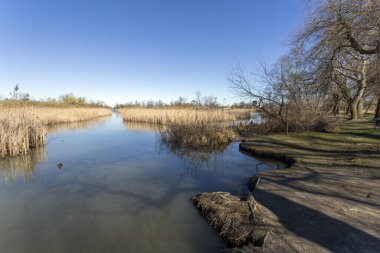 Mart ayında Macaristan 'ın Szigetszentmiklos kentinde yüzen bataklık patikası.