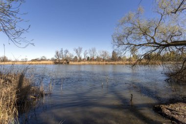 Mart ayında Macaristan 'ın Szigetszentmiklos kentinde yüzen bataklık patikası.