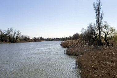 Mart ayında Macaristan 'ın Szigetszentmiklos kentinde yüzen bataklık patikası.