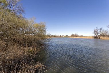 Mart ayında Macaristan 'ın Szigetszentmiklos kentinde yüzen bataklık patikası.