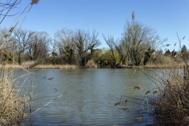 Mart ayında Macaristan 'ın Szigetszentmiklos kentinde yüzen bataklık patikası.