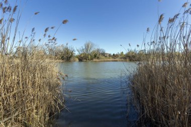 Mart ayında Macaristan 'ın Szigetszentmiklos kentinde yüzen bataklık patikası.