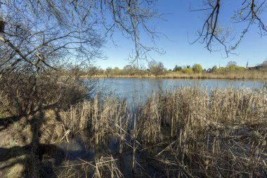 Mart ayında Macaristan 'ın Szigetszentmiklos kentinde yüzen bataklık patikası.