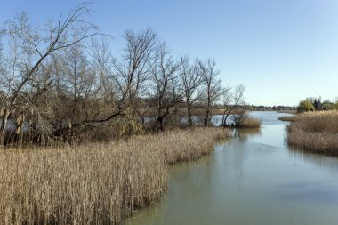 Mart ayında Macaristan 'ın Szigetszentmiklos kentinde yüzen bataklık patikası.