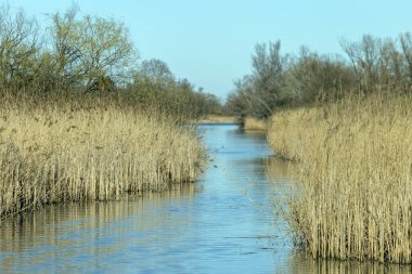 Mart ayında Macaristan 'ın Szigetszentmiklos kentinde yüzen bataklık patikası.