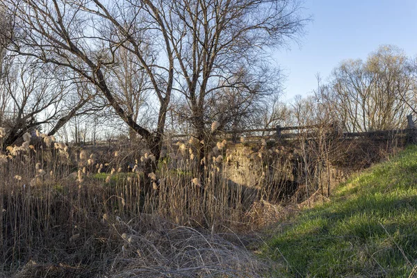 Romerska Bron Szazhalombatta Ungern Solig Dag — Stockfoto