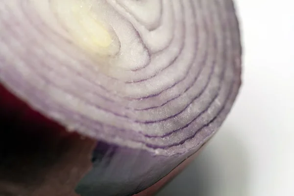 Cebolla Roja Aislada Sobre Fondo Blanco —  Fotos de Stock