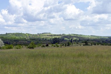Macaristan 'ın Godollo tepeleri bir yaz öğleden sonrası.