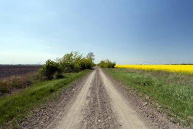Büyük Macar ovasında toprak yol