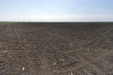 Macaristan 'da sürülmüş tarım arazisi