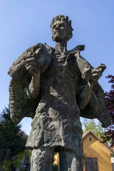 Estatua Sandor Petofi Szalkszentmarton Hungría — Foto de Stock