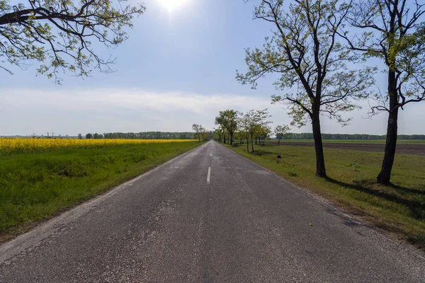 Open Weg Grote Hongaarse Vlakte — Stockfoto