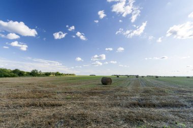 Saman balyaları ve mavi gökyüzü olan tarım arazisi. Macaristan 'ın çiftlik arazisinde kırsal doğa