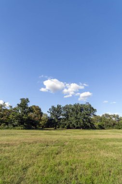 Çayır ve mavi gökyüzü. Macaristan 'ın çiftlik arazisinde kırsal doğa