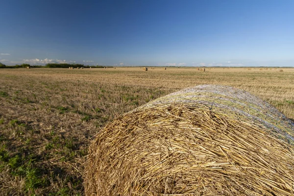 Champ Agricole Avec Balles Foin Ciel Bleu Nature Rurale Dans — Photo