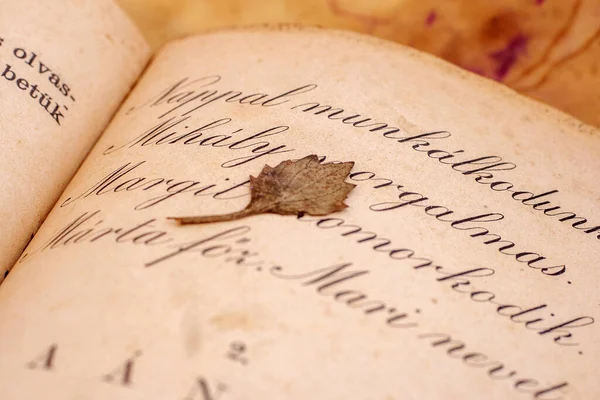 Antique Book White Background — Stock Photo, Image