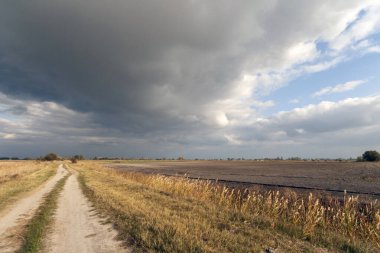 Büyük Macaristan Ovası 'nda toprak yol ve fırtınalı hava