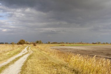 Büyük Macaristan Ovası 'nda toprak yol ve fırtınalı hava