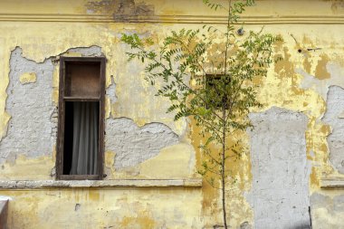 Soluk boyalı terk edilmiş eski bir ev.