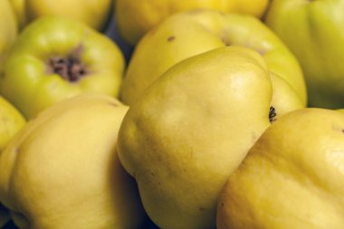 Bir kasede ayva meyvesi, sağlıklı yaşam teması