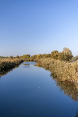 Macar kırsalında Tuna kanalı ve ortak sazlık.