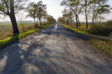 Büyük Macaristan Ovası 'nda sonbahar yolu