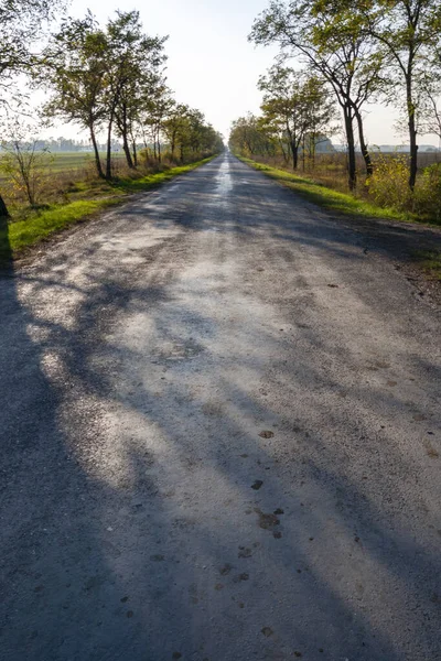 Herfstweg Grote Hongaarse Vlakte — Stockfoto