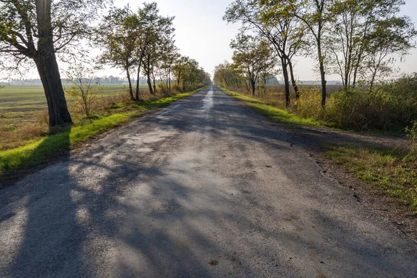 Podzimní Cesta Velké Uherské Pláni — Stock fotografie