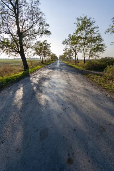 Herfstweg Grote Hongaarse Vlakte — Stockfoto