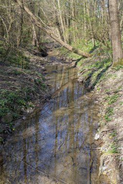 Macaristan 'ın Solymar köyü yakınlarındaki Buda dağlarında küçük bir dere..