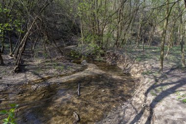 Macaristan 'ın Solymar köyü yakınlarındaki Buda dağlarında küçük bir dere..