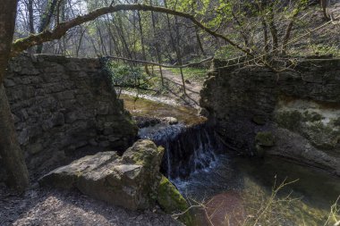 Macaristan 'ın Solymar köyü yakınlarındaki Buda dağlarında küçük bir şelale..